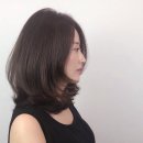 공작미용실 이미지