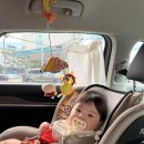 돼지궁뎅이소풍가는날 | 부산근교 양산 맛집 백동 소풍가는길 야외카페 라수슈(기갈대o)
