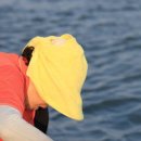 방아머리 이미지