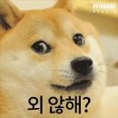 화정동(개인) 이미지