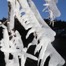 함양얼음 이미지