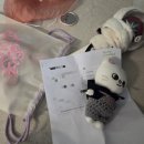 두잇짐(Do it GYM) | [SKZ] 스키즈 두잇(DO IT) 뮤직뱅크 사녹후기('25.11.21) ❤️