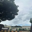 책 읽고 꼼지락 꼼지락 이미지