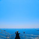 작은극장돌체 | 국내 부산 영도 카페 추천 태종대 오션뷰 카페 스릴온더머그 짚라인 카페