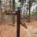 의구농장 | [일반산행] 병천, 목천의 숨은 진산 (상봉산~)은석산~작성산