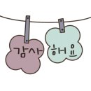 경희대청룡태권도 이미지