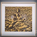 D.S 통상 | 개관특별전 《사진이 할 수 있는 모든 것》 전시 후기 - 동시대 미술 속 예술가들이 여는 사진의 세계