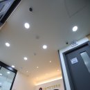 다솜애견 이미지