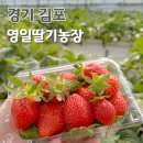 영일농장 이미지