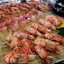 세꼬시닷컴 이미지