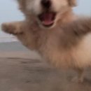별따라꽃따라 이미지