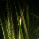 남해-224 이미지