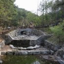 국립용화산자연휴양림 이미지