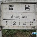 앵남1 이미지