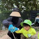 [🌿아이비반🌿] 🍠고구마 모종심기🍠&amp;월드컵프로젝트 진행중⚽️🌍 이미지