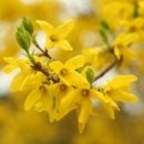 엘한의원 이미지