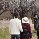 서울특별시 성동구 치매안심센터 이미지
