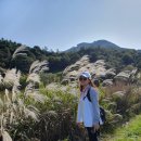 원반월마을회관 이미지