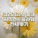 손끝에서 피어나는 페이퍼 플라워 | 갤러리라보 홍대 전시 후기, MZ 취향 저격 데이지 포토존