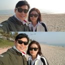 꽁냥꽁냥 이미지