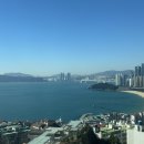 장산3층약국 네이버블로그