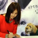 순심이 이미지