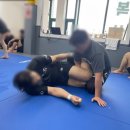 라텔주짓수;복싱강서 | 염창역주짓수 아트주짓수 강서에서 색다르게 운동한 후기