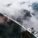 양지로7C 네이버블로그