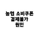 농협 민생회복 소비쿠폰 지원금 결제 안 될 때, 원인과 해결법 총정리