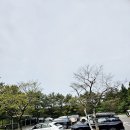 (주)중문티에스엘 | 제주도 골프장 가성비 라운딩, 나인브릿지 퍼블릭 6홀 와이프와 명랑골프 솔직후기