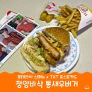 예성로 | 롯데리아 신메뉴 투바투 포카 x 청양바삭통새우팩 맛후기