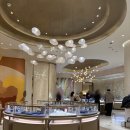 1895 | 잠실 에비뉴엘 까르띠에 오픈런 성공기｜1895 vs 씨드 목걸이 비교 구매후기