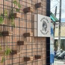 치앙마이 올드타운 | 아카아마 커피, 블루누들, 망고스무디 에딧트 후기