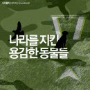 펫나라 이미지