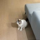 베트남 푸꾸옥 우기 여행 1일차 (비엣젯 연착, 킹콩마트, 피오나스파, 반쎄오꾸어이3, 풀만 리조트)