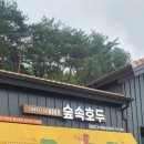 울산 자수정 동굴나라 후기｜아이와 다녀온 내돈내산 솔직 리뷰 + 방문 꿀팁