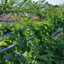 은혜농장 이미지