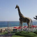 바다정원 이미지