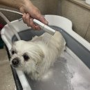 덕이 미장원 이미지