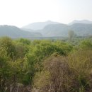 한반도면사무소 이미지