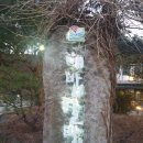 해밥달밥 | 경북 | 동명 | 깔끔하고 정갈한 한정식, 팔공산 해밥달밥 후기
