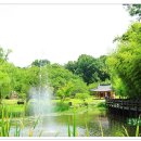 대숲속으로 이미지