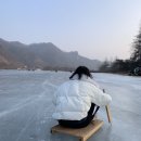 타요캠핑장 이미지