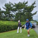 갤러리모터스 | LPGA BMW 레이디스 챔피언십 전라남도 해남 파인비치 CC 갤러리 후기