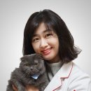 라라동물의료원 이미지