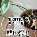 경선유통 | 선크림 추천 :: 인스타 강민경 포트레 선크림