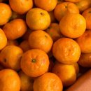 든든한 추어탕 힘나는 낙지볶음 이미지