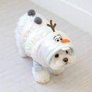 이츠독 이미지