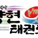 용인대 석사 양현 태권도 이미지