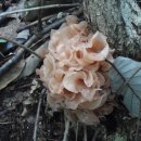 탑선마을 이미지